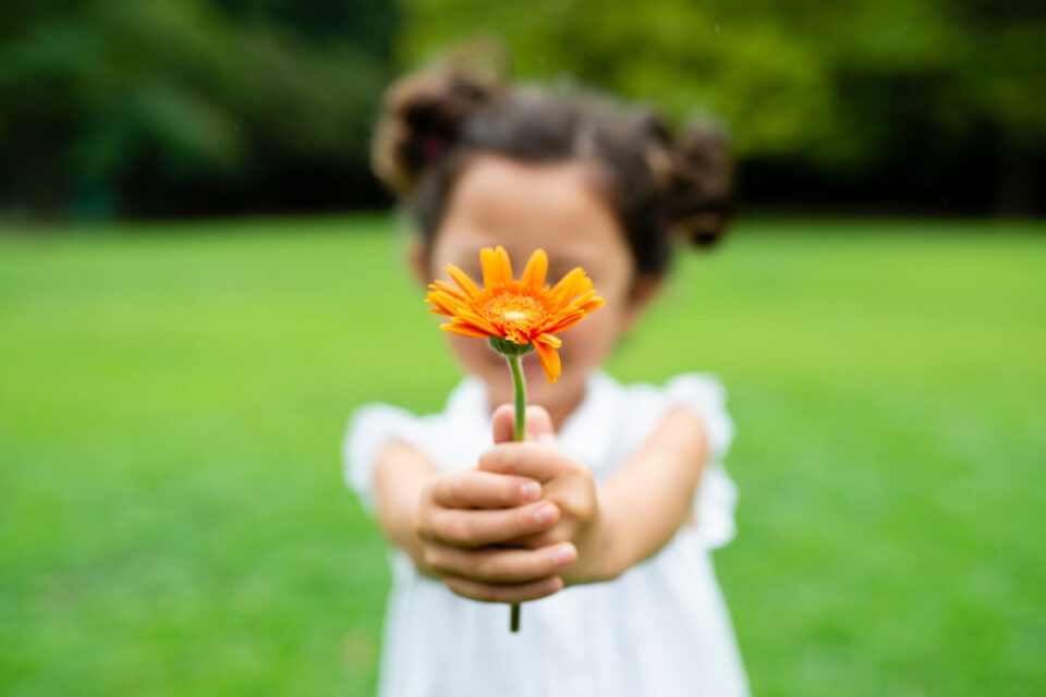 gratitude, a girl is holding a flower